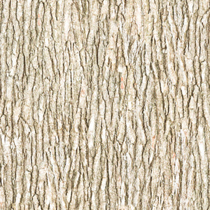 Light brown bark cotton fabric available at Colorado Creations Quilting
