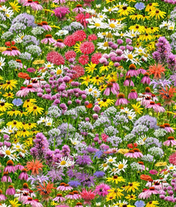 Multi-colored wildflowers by Elizabeth Studios Fabrics available at Colorado Creations Quilting