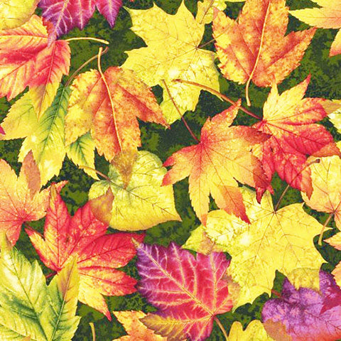Cotton fabric features autumn maples leaves on a green tonal background. 