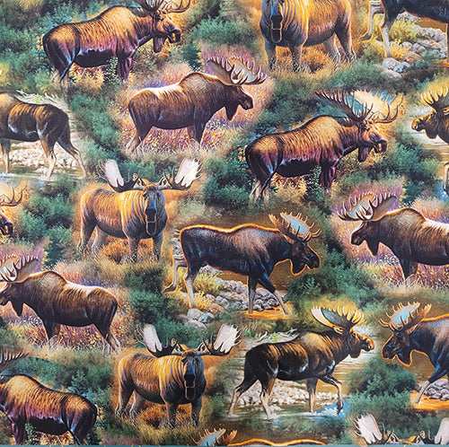 Magnificent Moose Cotton Fabric