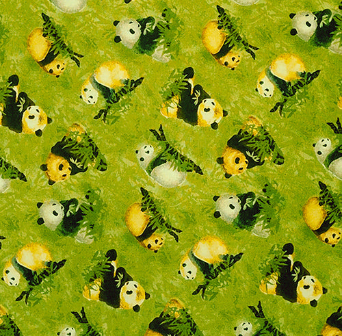 Pandas and bamboo on grenn background