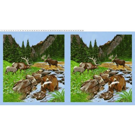 A moose, elk and bear gather at the stream that flows through the meadow. This