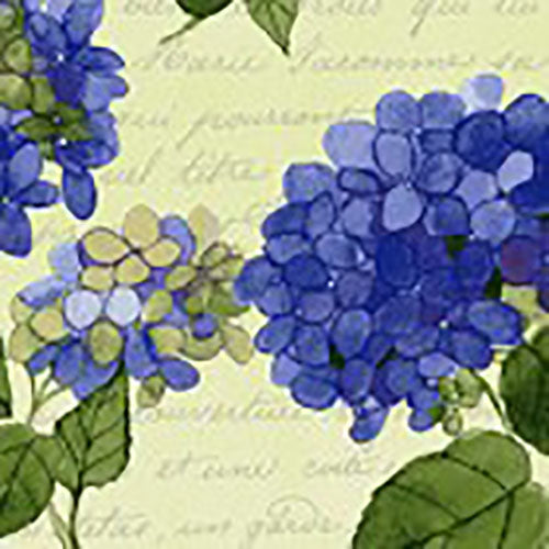Clusters of blue hydrangeas on cream background fabric available at Colorado Creations Quilting