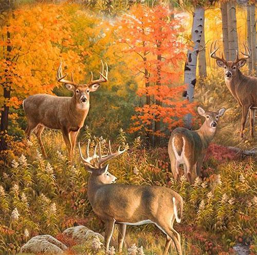 Realistic deer in their natural habitat surrounded by autumn-colored trees and ground cover cotton fabric.