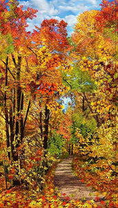 This fabric quilt panel has all the makings of a great fall scene featuring a path that winds through a grove of trees ladened with leaves in all the fall colors by Tmeless Treasures Fabrics