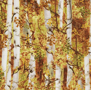 Packed gray birch or aspen tree with fall leaves in gold, green and brown by Timeless Treasures