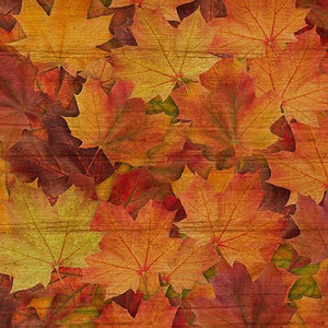 This 100% cotton fabric features rich maple leaves in shades of orange, red and yellow.  Great for use in applique, quilt or craft projects.
