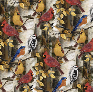 This cotton fabric features Birds such as cardinals, blue birds and wood peckers are perched among the birch trees