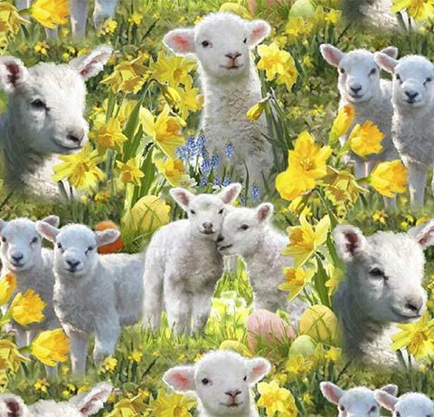 This cotton fabric features life-like adorable lambs in a field of daffodils.  Available at Colorado Creations Quilting