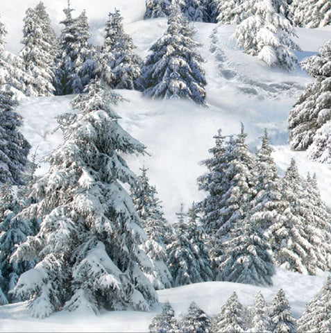 This cotton fabric features snow-covered trees available at Colorado Creations Quilting.