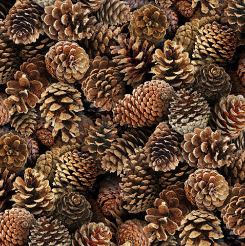 This cotton fabric features packed brown pine cones. Available at Colorado Creations Quilting