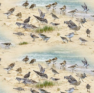 Sand pipers scavenging for food on the sand with the ocean in the background are featured in this 100% cotton fabric.