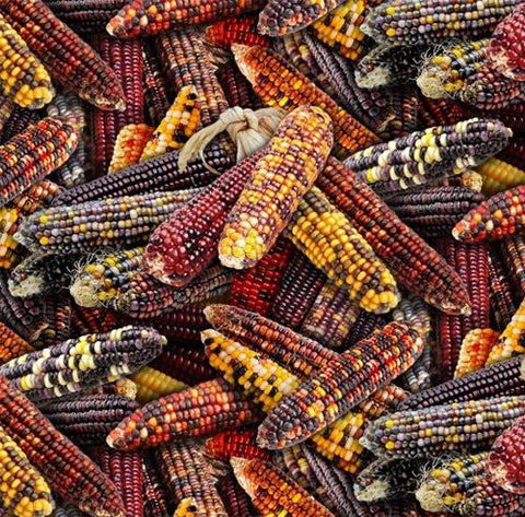 This 100% cotton fabric features fall corn in shades of red and yellow.   Great for use in applique, quilt or craft projects for autumn.
