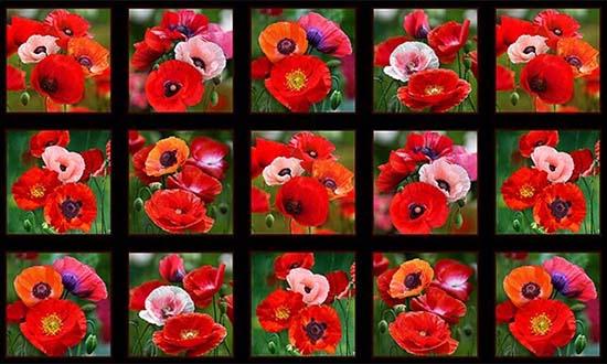 This panel features 15 squares with realistic poppies in each. It's sure to make a great beginning to your next quilt or craft project. They'll work perfectly for block centers too.  Available at Colorado Creations Quilting
