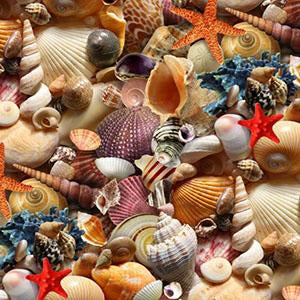 Multi-Colored  Packed Seashells Cotton Fabric available at Colorado Creations Quilting