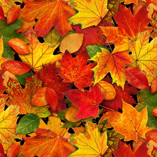 Autumn maple leaves in red, gold, rust, green fabric available at Colorado Creations Quilting