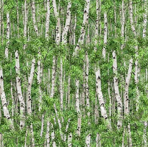 Trees, Birch or Aspen Tree with Green Leaves Cotton Fabric by Elizabeth's Studio and available at Colorado Creations Quilting