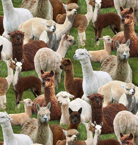 Packed llamas in shades of brown, tan and white on  green grass cotton fabric is available at Colorado Creations Quilting