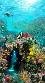 Tropical fish swim among the coral beneath the sea