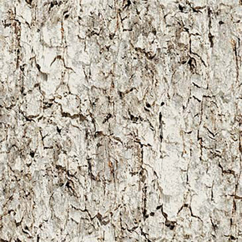 Light tan and gray bark cotton fabric available at Colorado Creations Quilting