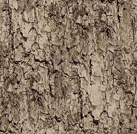 Cotton Birch Logs Birch Trees Bark Forest Woods Landscape Nature Gray Wolf  Cotton Fabric Print by the Yard (24351-94GRAYMULTI)