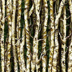 This fabric features packed aspen or birch tree trunks