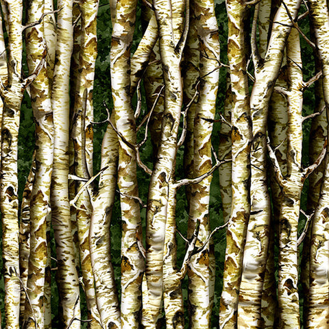 This fabric features packed aspen or birch tree trunks
