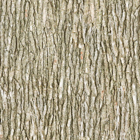 Light brown bark cotton fabric available at Colorado Creations Quilting