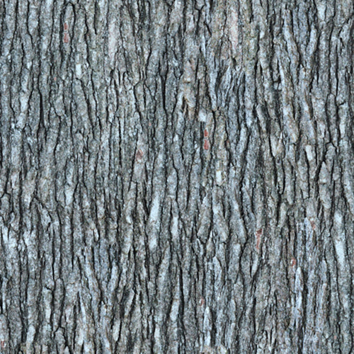 Gray bark cotton fabric available at Colorado Creations Quilting