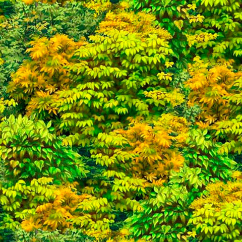 Packed leaves in rich shades of green and yellow