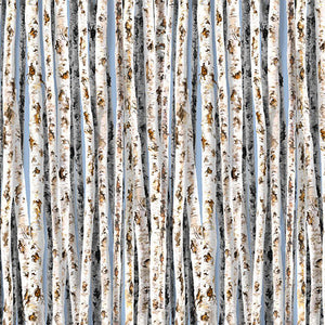 Aspen or birch trees trunk on blue cotton fabric by Timeless Treausres. Available at Colorado Creations Quilting