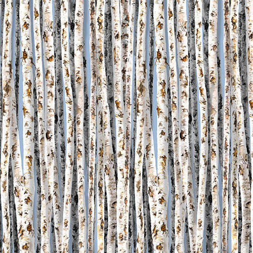 birch tree texture