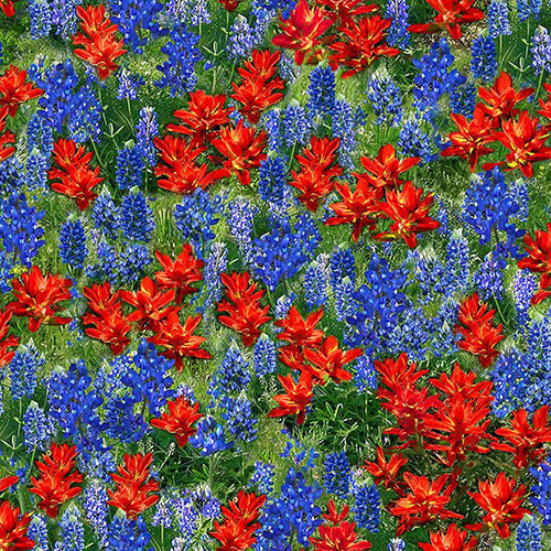 This cotton quilting fabric features bluebonnets and red Indian paintbrush wildflowers available at Colorado Creations Quilting