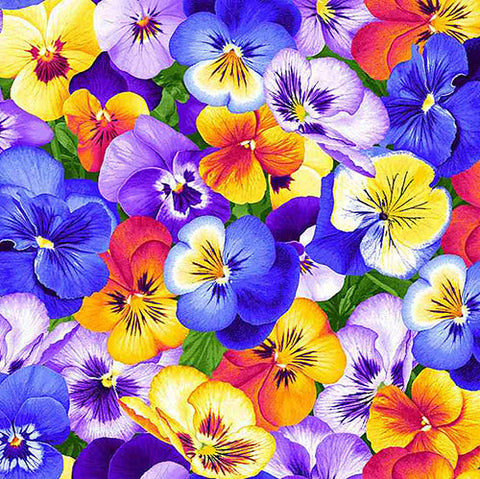 This cotton quilting fabric features packed pansies in multiple pansy colors. 