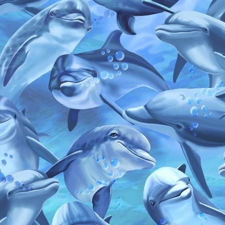 Images of blue dolphins