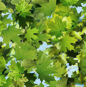 This cotton fabric features packed green leaves with maple leaves predominant 