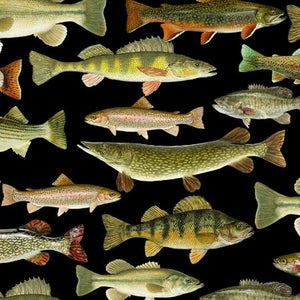Fish such as bass and trout on a black background