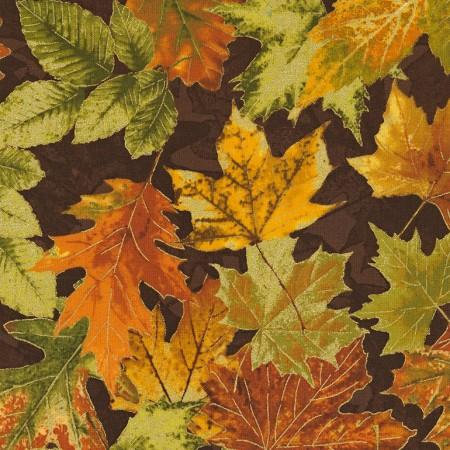 Large fall leaves in gold, rust and green on a brown background available at Colorado Creations Quilting
