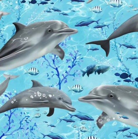 This fabric panel features gentle dolphins in aqua blue water, tropical fish and coral in rich eye-candy colors. Available at Colorado Creations Quilting