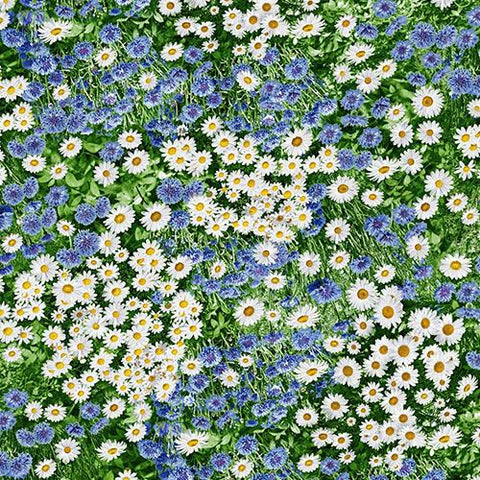 Daisy and Cornflower Wildflowers fabric by Timeless Treasures available at Colorado Creations Quilting