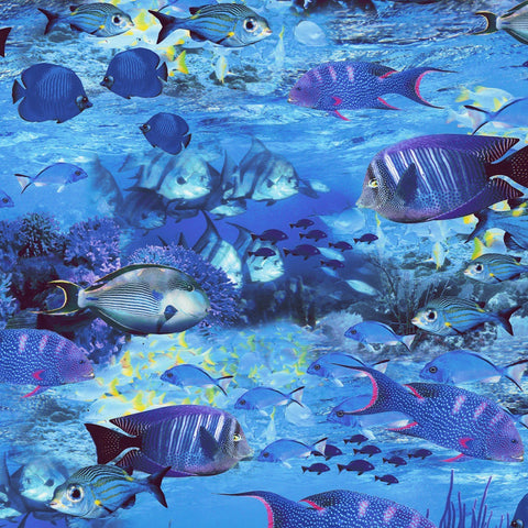 Images of tropical fish swimming on the ocean floor in shades of blue