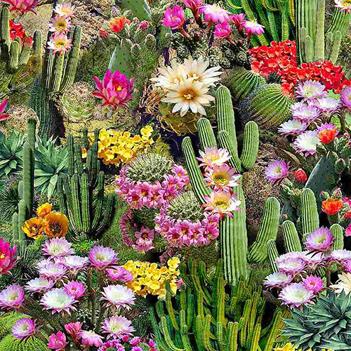 This cotton fabric features brilliantly colored packed cacti with brightly colored blooming flowers