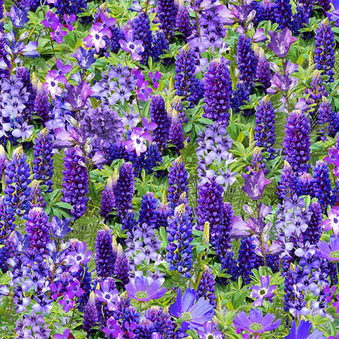 This 100% cotton quilting fabric features beautiful wildflowers like lupine, wild geranium, forget-me-knots and more in shades of blue and purple available at Colorado Creations Quilting