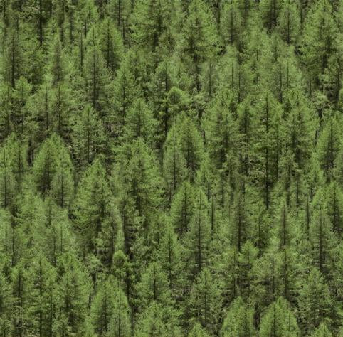 This cotton fabric features packed evergreen trees. Available at Colorado Creations Quilting